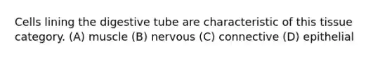 Cells lining the digestive tube are characteristic of this tissue category. (A) muscle (B) nervous (C) connective (D) epithelial