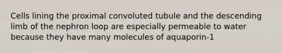 Cells lining the proximal convoluted tubule and the descending limb of the nephron loop are especially permeable to water because they have many molecules of aquaporin-1