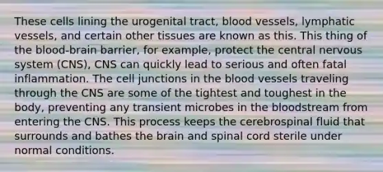 These cells lining the urogenital tract, blood vessels, lymphatic vessels, and certain other tissues are known as this. This thing of <a href='https://www.questionai.com/knowledge/kO1rMGD7bv-the-blood-brain-barrier' class='anchor-knowledge'>the blood-brain barrier</a>, for example, protect the central nervous system (CNS), CNS can quickly lead to serious and often fatal inflammation. The <a href='https://www.questionai.com/knowledge/kYt5XptpdP-cell-junctions' class='anchor-knowledge'>cell junctions</a> in the blood vessels traveling through the CNS are some of the tightest and toughest in the body, preventing any transient microbes in the bloodstream from entering the CNS. This process keeps the cerebrospinal fluid that surrounds and bathes <a href='https://www.questionai.com/knowledge/kLMtJeqKp6-the-brain' class='anchor-knowledge'>the brain</a> and spinal cord sterile under normal conditions.