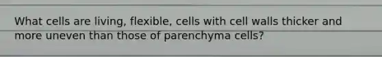 What cells are living, flexible, cells with cell walls thicker and more uneven than those of parenchyma cells?