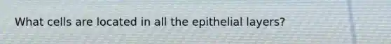 What cells are located in all the epithelial layers?