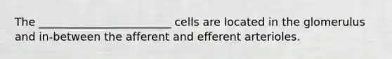 The ________________________ cells are located in the glomerulus and in-between the afferent and efferent arterioles.