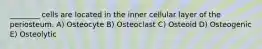 ________ cells are located in the inner cellular layer of the periosteum. A) Osteocyte B) Osteoclast C) Osteoid D) Osteogenic E) Osteolytic