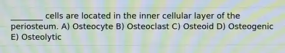 ________ cells are located in the inner cellular layer of the periosteum. A) Osteocyte B) Osteoclast C) Osteoid D) Osteogenic E) Osteolytic