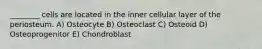 ________ cells are located in the inner cellular layer of the periosteum. A) Osteocyte B) Osteoclast C) Osteoid D) Osteoprogenitor E) Chondroblast