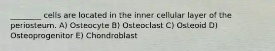 ________ cells are located in the inner cellular layer of the periosteum. A) Osteocyte B) Osteoclast C) Osteoid D) Osteoprogenitor E) Chondroblast