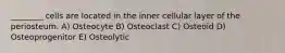 ________ cells are located in the inner cellular layer of the periosteum. A) Osteocyte B) Osteoclast C) Osteoid D) Osteoprogenitor E) Osteolytic