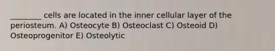 ________ cells are located in the inner cellular layer of the periosteum. A) Osteocyte B) Osteoclast C) Osteoid D) Osteoprogenitor E) Osteolytic