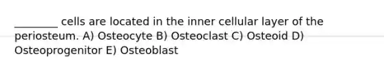 ________ cells are located in the inner cellular layer of the periosteum. A) Osteocyte B) Osteoclast C) Osteoid D) Osteoprogenitor E) Osteoblast