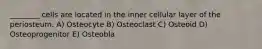 ________ cells are located in the inner cellular layer of the periosteum. A) Osteocyte B) Osteoclast C) Osteoid D) Osteoprogenitor E) Osteobla