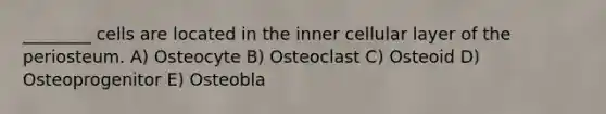 ________ cells are located in the inner cellular layer of the periosteum. A) Osteocyte B) Osteoclast C) Osteoid D) Osteoprogenitor E) Osteobla