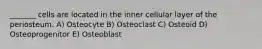 _______ cells are located in the inner cellular layer of the periosteum. A) Osteocyte B) Osteoclast C) Osteoid D) Osteoprogenitor E) Osteoblast