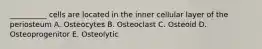 __________ cells are located in the inner cellular layer of the periosteum A. Osteocytes B. Osteoclast C. Osteoid D. Osteoprogenitor E. Osteolytic