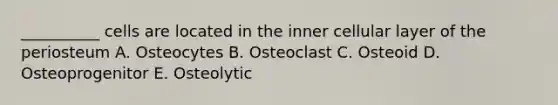 __________ cells are located in the inner cellular layer of the periosteum A. Osteocytes B. Osteoclast C. Osteoid D. Osteoprogenitor E. Osteolytic