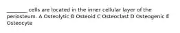 ________ cells are located in the inner cellular layer of the periosteum. A Osteolytic B Osteoid C Osteoclast D Osteogenic E Osteocyte