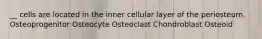 __ cells are located in the inner cellular layer of the periosteum. Osteoprogenitor Osteocyte Osteoclast Chondroblast Osteoid