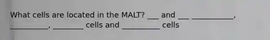 What cells are located in the MALT? ___ and ___ ___________, __________, ________ cells and __________ cells