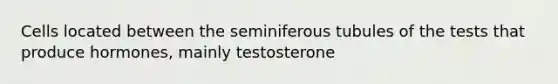 Cells located between the seminiferous tubules of the tests that produce hormones, mainly testosterone