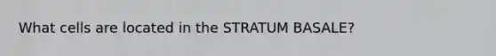 What cells are located in the STRATUM BASALE?