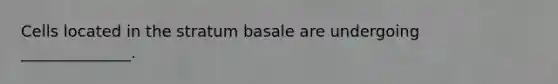Cells located in the stratum basale are undergoing ______________.