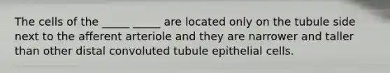 The cells of the _____ _____ are located only on the tubule side next to the afferent arteriole and they are narrower and taller than other distal convoluted tubule epithelial cells.