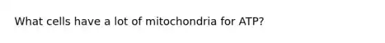 What cells have a lot of mitochondria for ATP?