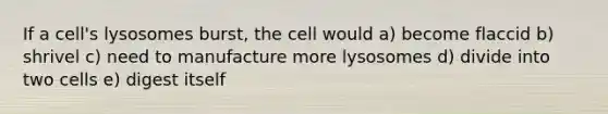 If a cell's lysosomes burst, the cell would a) become flaccid b) shrivel c) need to manufacture more lysosomes d) divide into two cells e) digest itself