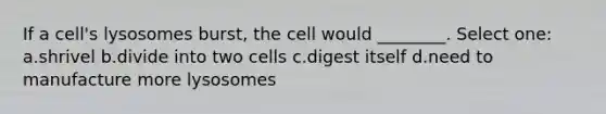 If a cell's lysosomes burst, the cell would ________. Select one: a.shrivel b.divide into two cells c.digest itself d.need to manufacture more lysosomes