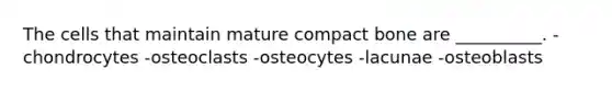 The cells that maintain mature compact bone are __________. -chondrocytes -osteoclasts -osteocytes -lacunae -osteoblasts