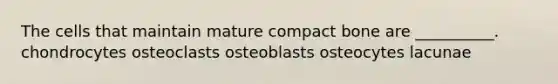 The cells that maintain mature compact bone are __________. chondrocytes osteoclasts osteoblasts osteocytes lacunae