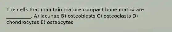 The cells that maintain mature compact bone matrix are __________. A) lacunae B) osteoblasts C) osteoclasts D) chondrocytes E) osteocytes