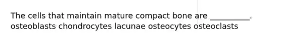 The cells that maintain mature compact bone are __________. osteoblasts chondrocytes lacunae osteocytes osteoclasts