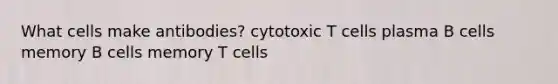 What cells make antibodies? cytotoxic T cells plasma B cells memory B cells memory T cells