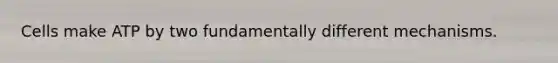 Cells make ATP by two fundamentally different mechanisms.