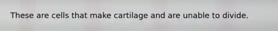 These are cells that make cartilage and are unable to divide.