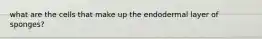 what are the cells that make up the endodermal layer of sponges?
