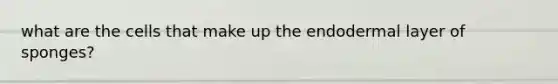what are the cells that make up the endodermal layer of sponges?
