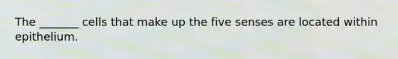 The _______ cells that make up the five senses are located within epithelium.