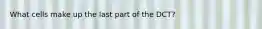 What cells make up the last part of the DCT?