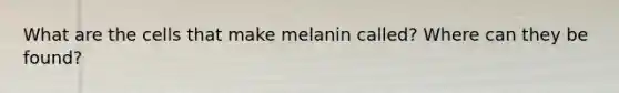 What are the cells that make melanin called? Where can they be found?