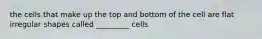 the cells that make up the top and bottom of the cell are flat irregular shapes called _________ cells