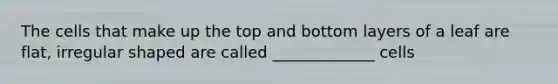 The cells that make up the top and bottom layers of a leaf are flat, irregular shaped are called _____________ cells