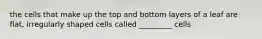 the cells that make up the top and bottom layers of a leaf are flat, irregularly shaped cells called _________ cells