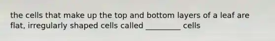 the cells that make up the top and bottom layers of a leaf are flat, irregularly shaped cells called _________ cells