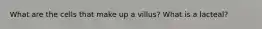 What are the cells that make up a villus? What is a lacteal?