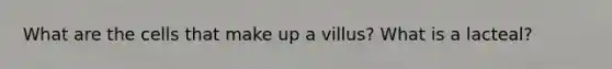 What are the cells that make up a villus? What is a lacteal?