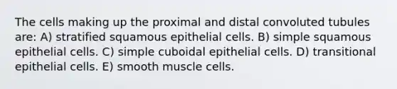 The cells making up the proximal and distal convoluted tubules are: A) stratified squamous epithelial cells. B) simple squamous epithelial cells. C) simple cuboidal epithelial cells. D) transitional epithelial cells. E) smooth muscle cells.