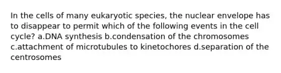 In the cells of many eukaryotic species, the nuclear envelope has to disappear to permit which of the following events in the cell cycle? a.DNA synthesis b.condensation of the chromosomes c.attachment of microtubules to kinetochores d.separation of the centrosomes