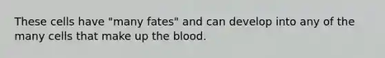 These cells have "many fates" and can develop into any of the many cells that make up the blood.