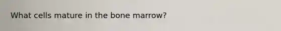 What cells mature in the bone marrow?